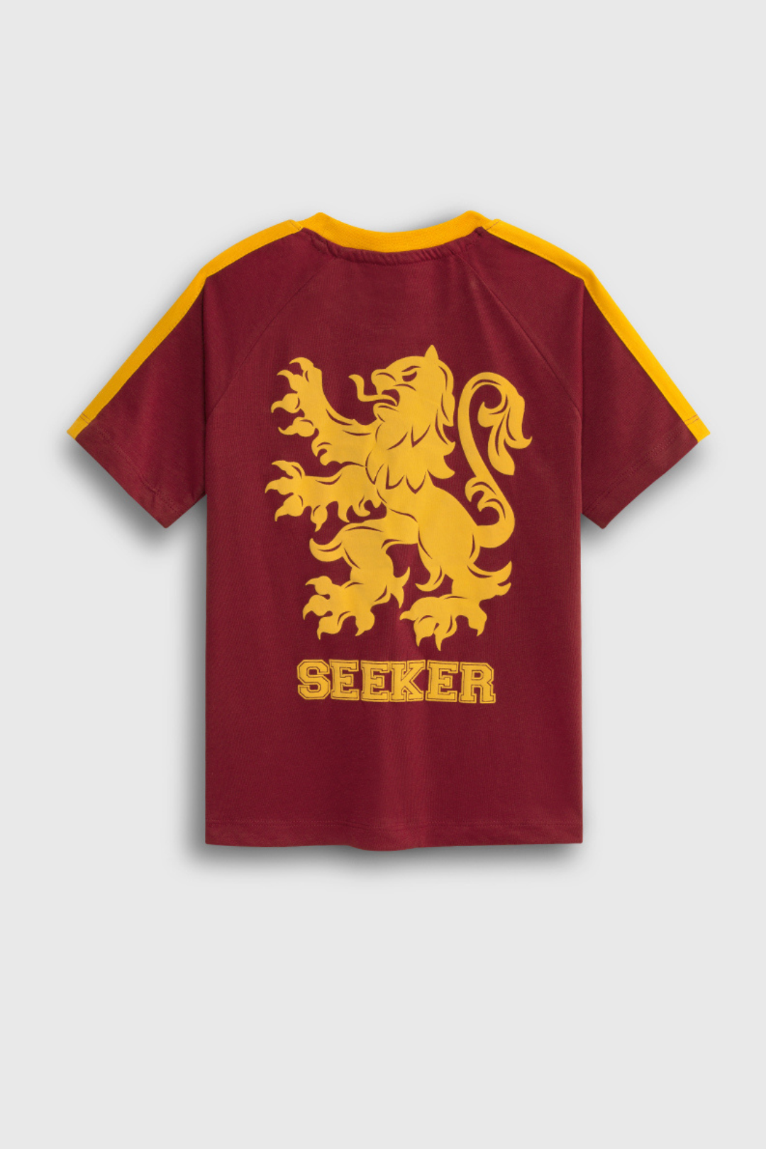 Gryffindor Raglan Color Block T-Shirt