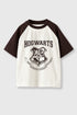Core Hogwarts Crest T-Shirt
