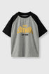 Batman Iconic Grey T-Shirt