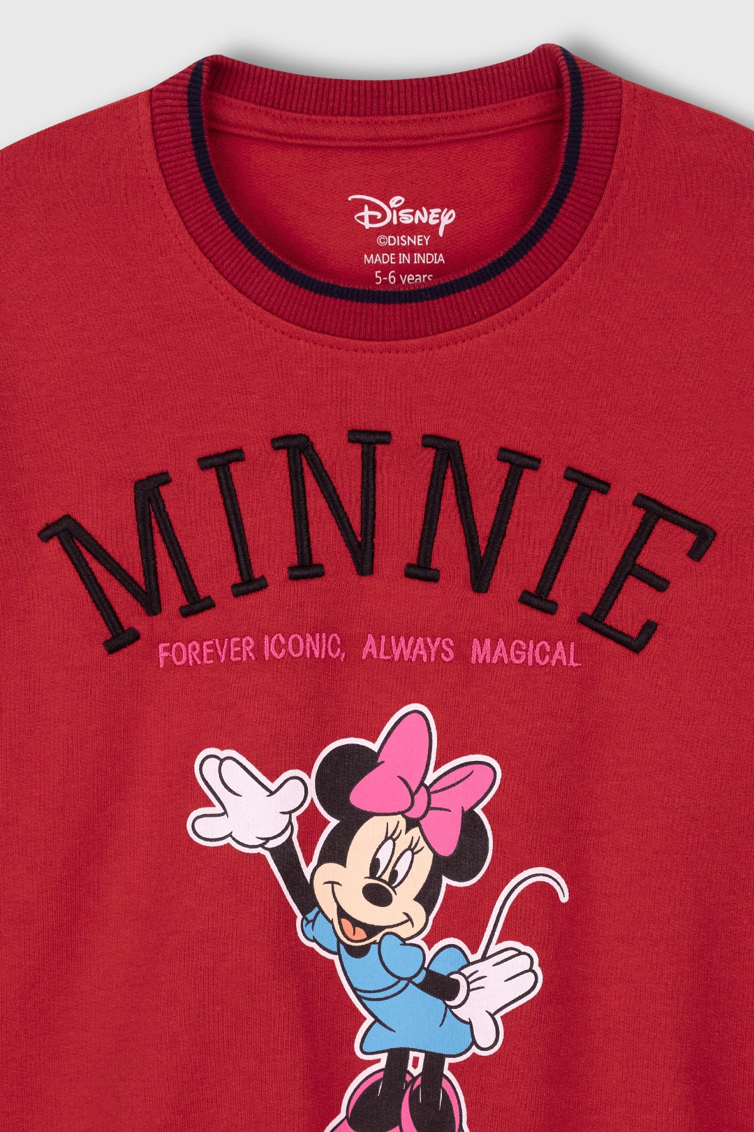 Timeless Minnie Sweatshirt for Family