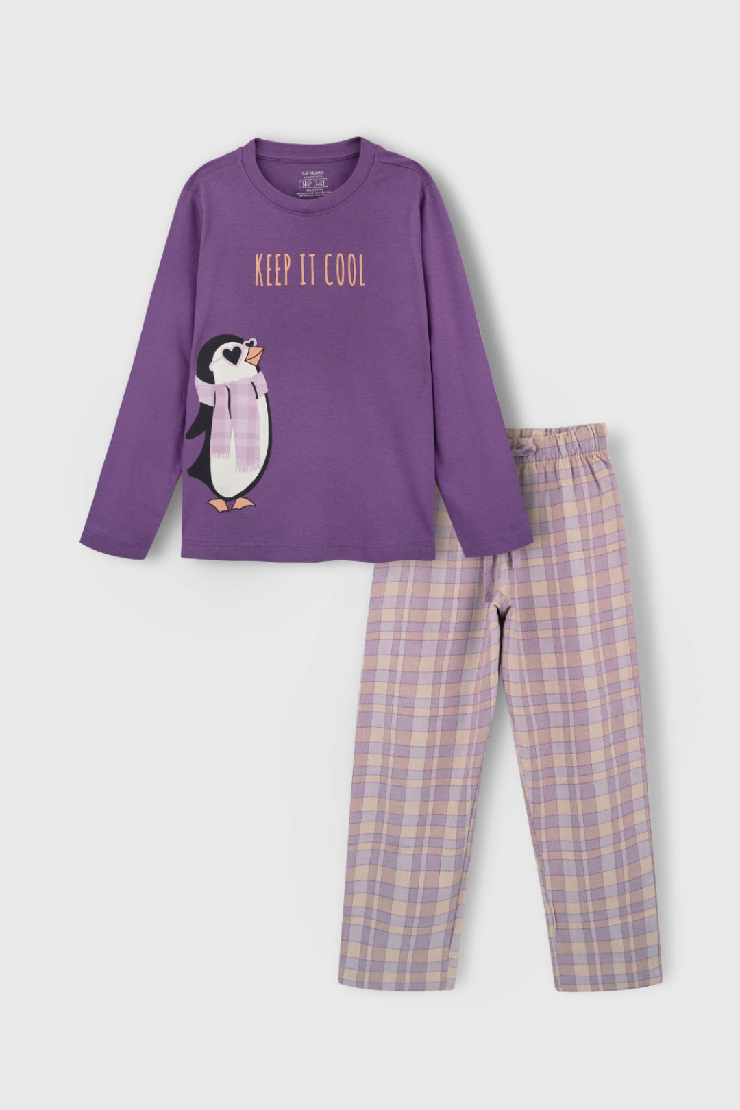 Cool Penguin Flannel Pajama Set