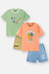 Boys Shorts Set Pack of 2