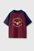 Hogwarts Quidditch Color Block T-Shirt