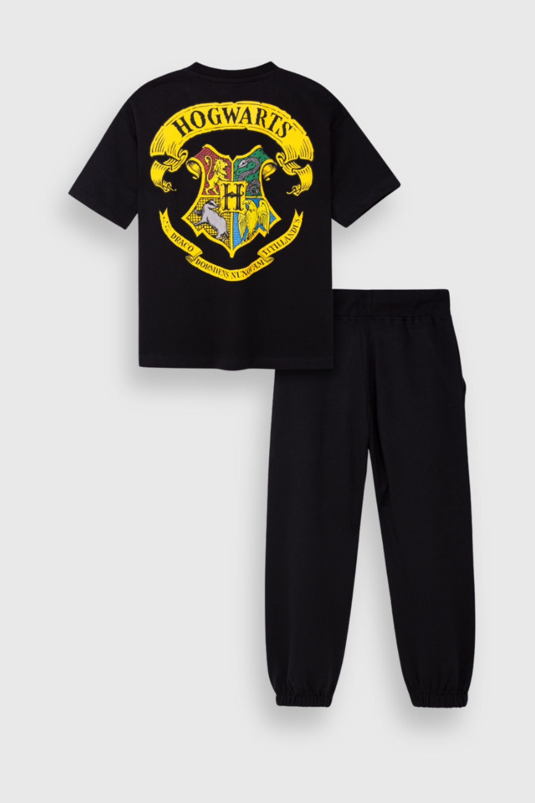 harry potter jogger and t-shirt set for boys