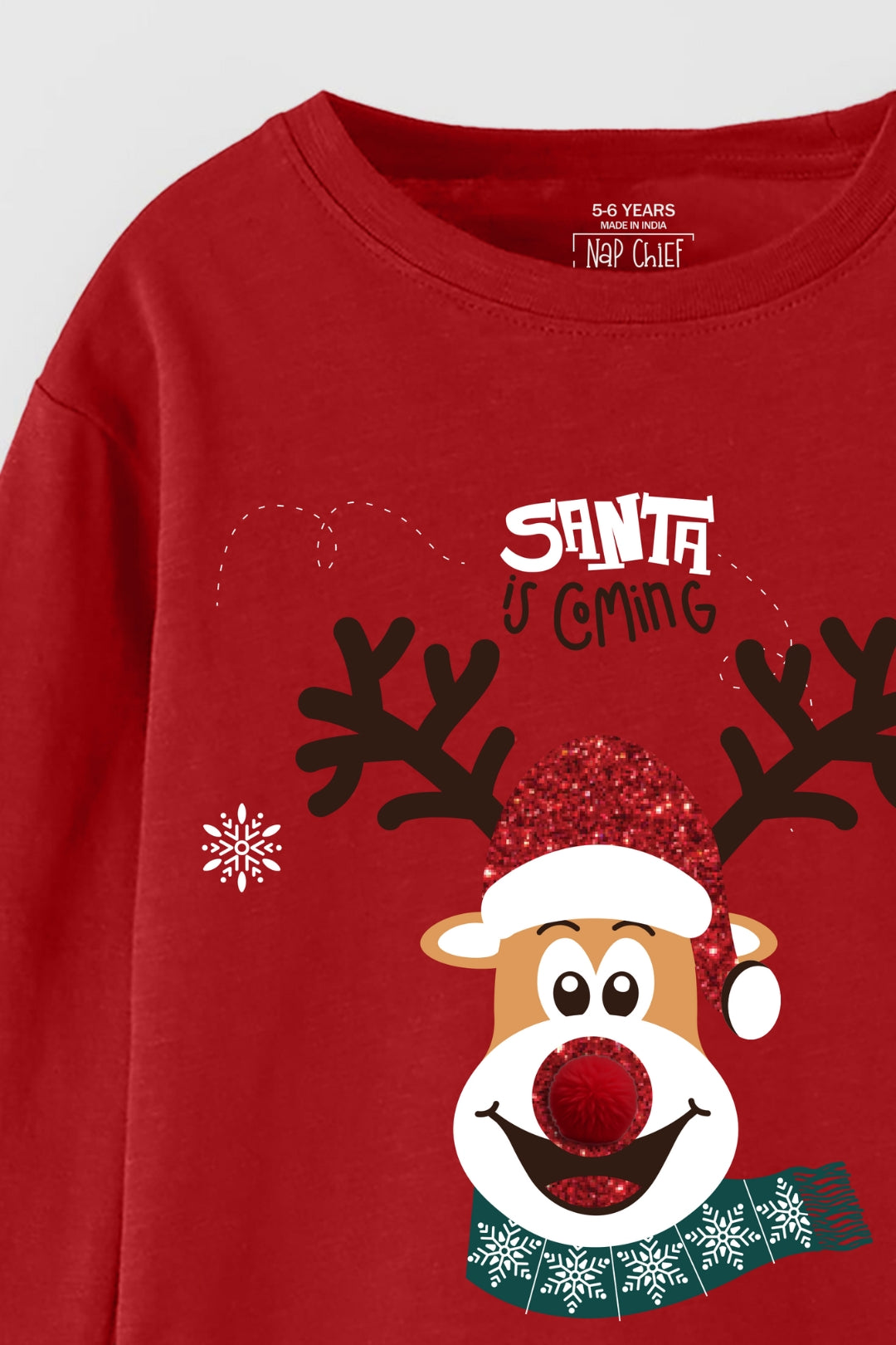 Red Nose Reindeer Pajama Set for Family