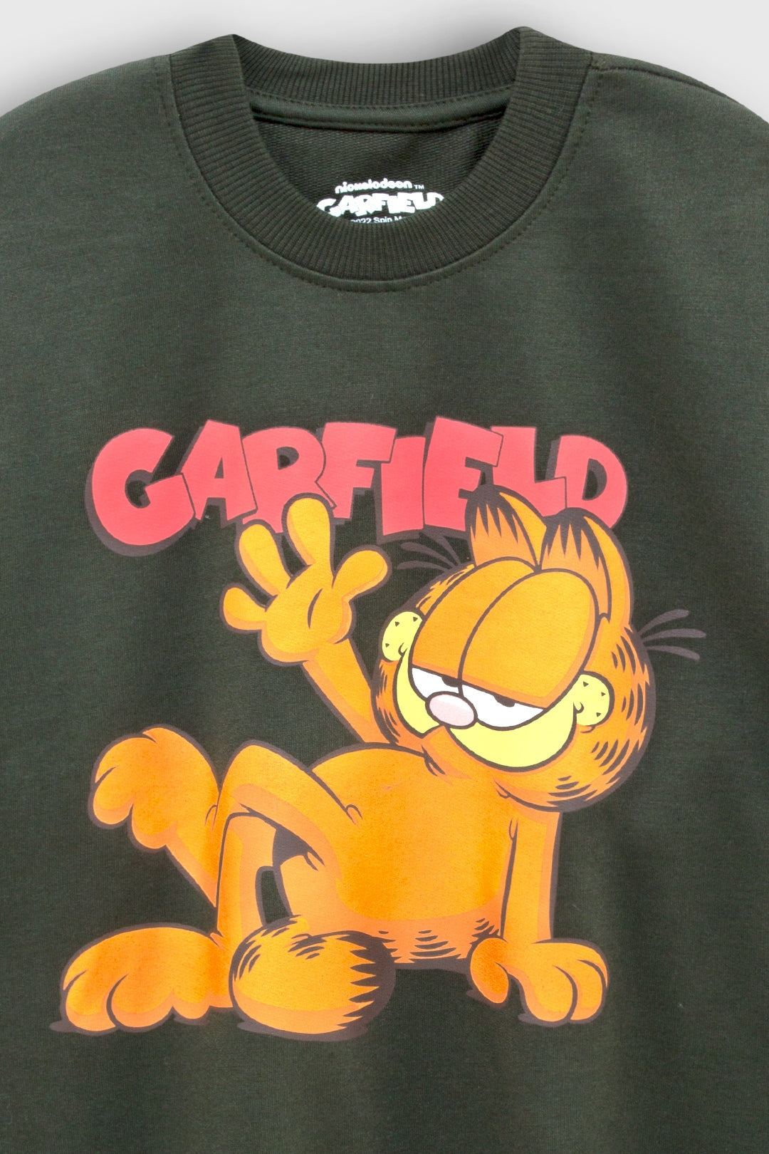 garfield sweatshirt co-ord set for boys