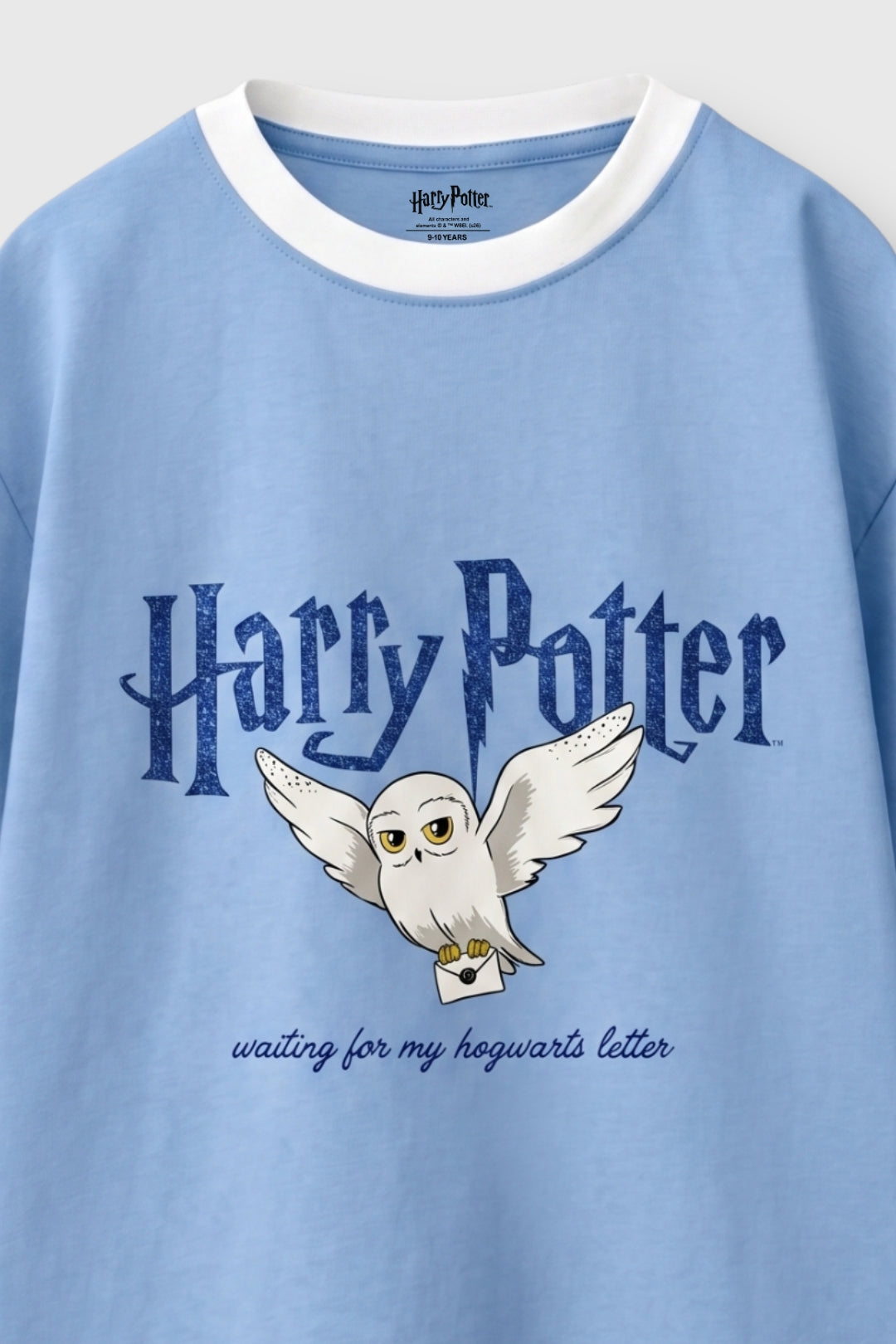 Harry Potter Magical Wings T-Shirt