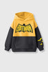 Batman Shimmer Hoodie
