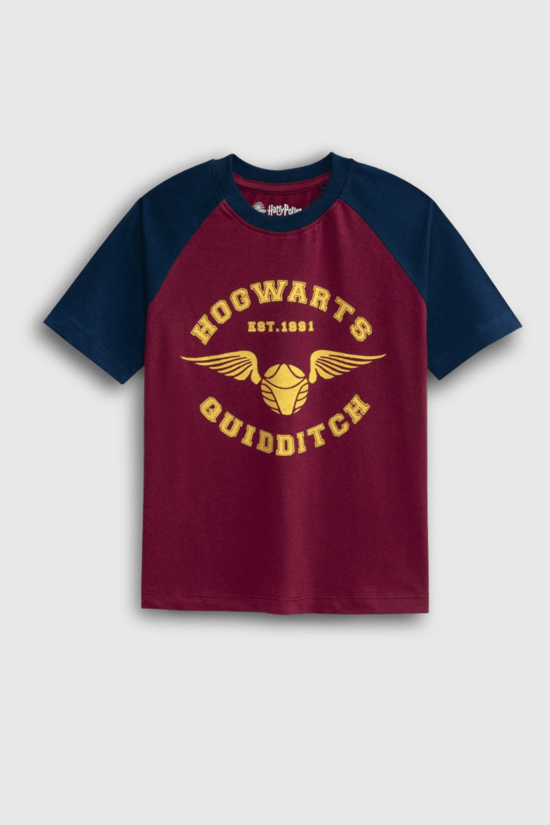 Hogwarts Quidditch Color Block T-Shirt